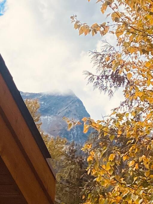 Ski-In Chalet: Private Hot Tub, Bonus Bunk House 弗尼 外观 照片