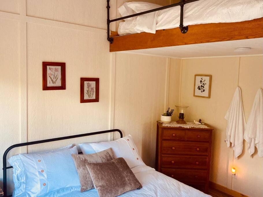 Ski-In Chalet: Private Hot Tub, Bonus Bunk House 弗尼 外观 照片
