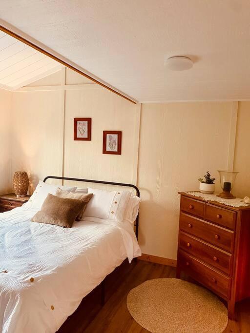 Ski-In Chalet: Private Hot Tub, Bonus Bunk House 弗尼 外观 照片