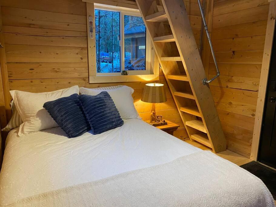 Ski-In Chalet: Private Hot Tub, Bonus Bunk House 弗尼 外观 照片