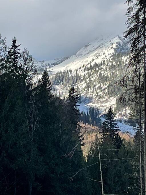 Ski-In Chalet: Private Hot Tub, Bonus Bunk House 弗尼 外观 照片